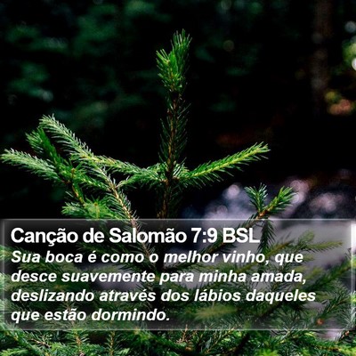 Canção de Salomão 7:9 BSL Bible Verse Image