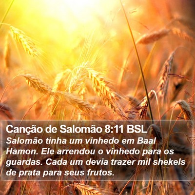 Canção de Salomão 8:11 BSL Bible Verse Image