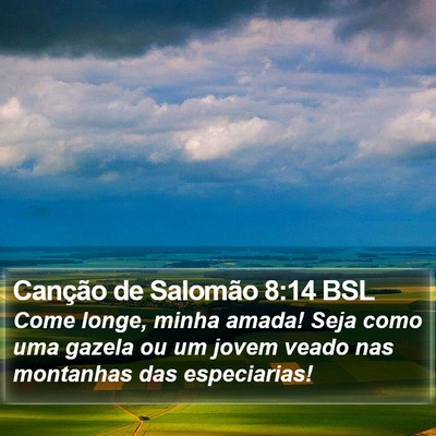 Canção de Salomão 8:14 BSL Bible Verse Image