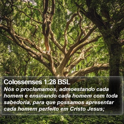 Colossenses 1:28 BSL Bible Verse Image