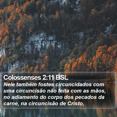 Colossenses 2:11 BSL Bible Verse Image