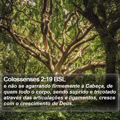 Colossenses 2:19 BSL Bible Verse Image