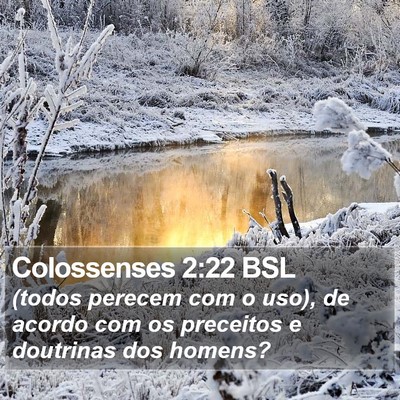 Colossenses 2:22 BSL Bible Verse Image