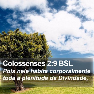 Colossenses 2:9 BSL Bible Verse Image