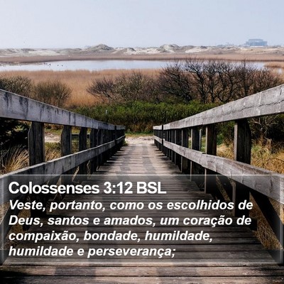 Colossenses 3:12 BSL Bible Verse Image