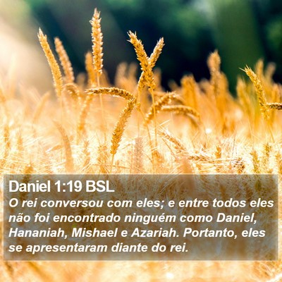 Daniel 1:19 BSL Bible Verse Image