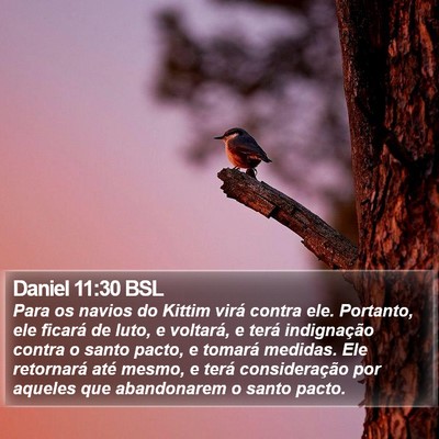 Daniel 11:30 BSL Bible Verse Image