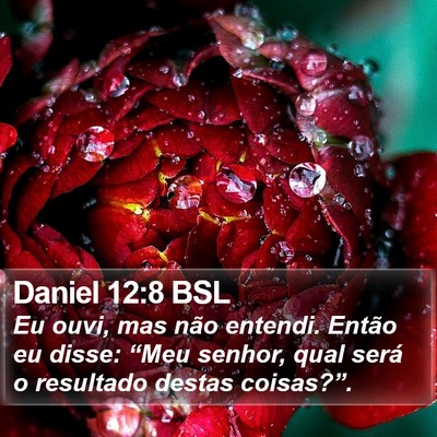 Daniel 12:8 BSL Bible Verse Image