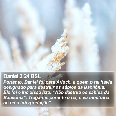 Daniel 2:24 BSL Bible Verse Image