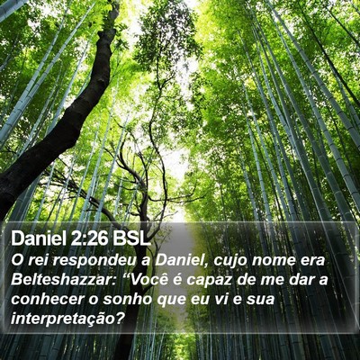 Daniel 2:26 BSL Bible Verse Image