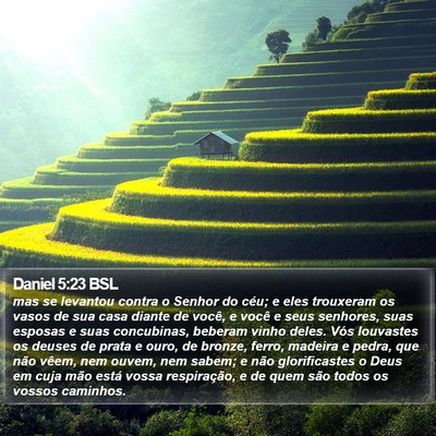 Daniel 5:23 BSL Bible Verse Image