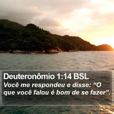 Deuteronômio 1:14 BSL Bible Verse Image