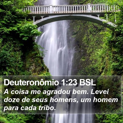 Deuteronômio 1:23 BSL Bible Verse Image