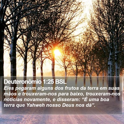 Deuteronômio 1:25 BSL Bible Verse Image