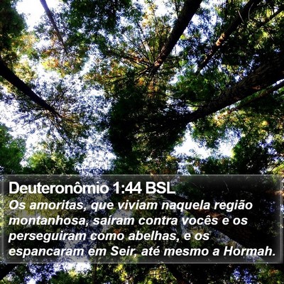 Deuteronômio 1:44 BSL Bible Verse Image