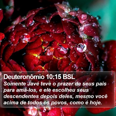 Deuteronômio 10:15 BSL Bible Verse Image