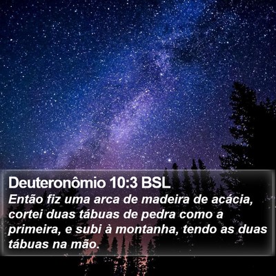 Deuteronômio 10:3 BSL Bible Verse Image