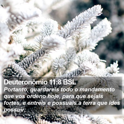 Deuteronômio 11:8 BSL Bible Verse Image