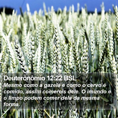 Deuteronômio 12:22 BSL Bible Verse Image