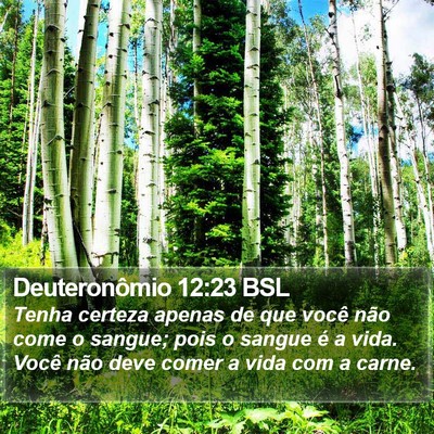 Deuteronômio 12:23 BSL Bible Verse Image