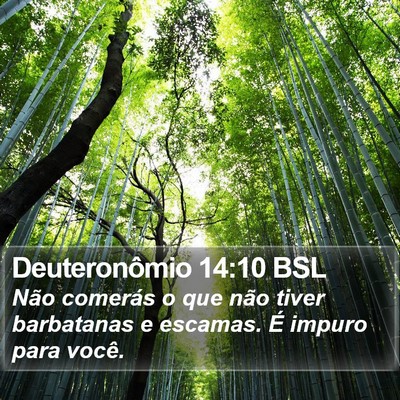 Deuteronômio 14:10 BSL Bible Verse Image