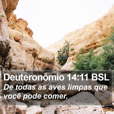 Deuteronômio 14:11 BSL Bible Verse Image