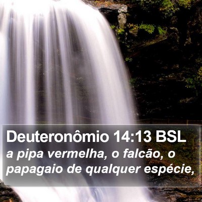 Deuteronômio 14:13 BSL Bible Verse Image