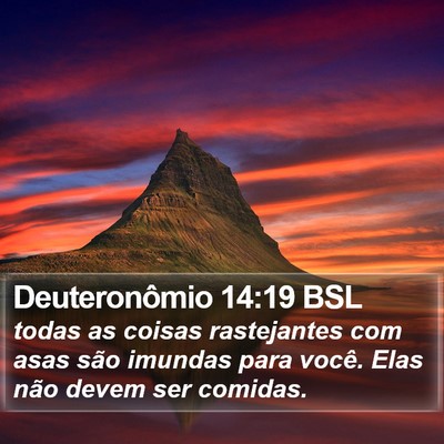 Deuteronômio 14:19 BSL Bible Verse Image