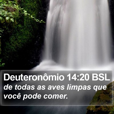 Deuteronômio 14:20 BSL Bible Verse Image