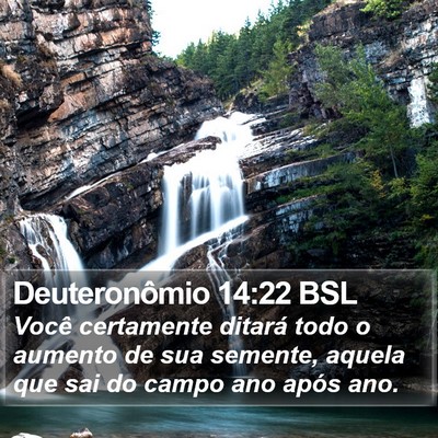 Deuteronômio 14:22 BSL Bible Verse Image
