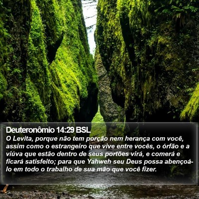 Deuteronômio 14:29 BSL Bible Verse Image