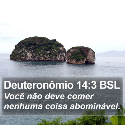 Deuteronômio 14:3 BSL Bible Verse Image