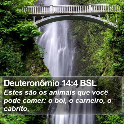Deuteronômio 14:4 BSL Bible Verse Image