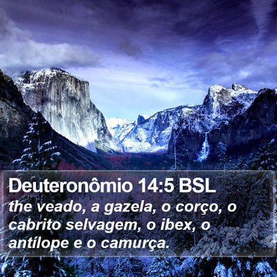 Deuteronômio 14:5 BSL Bible Verse Image
