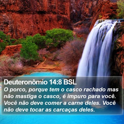 Deuteronômio 14:8 BSL Bible Verse Image