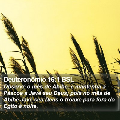 Deuteronômio 16:1 BSL Bible Verse Image