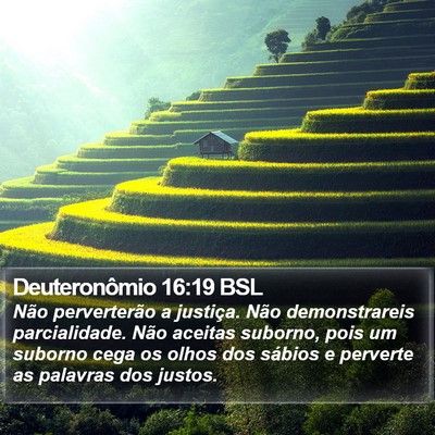 Deuteronômio 16:19 BSL Bible Verse Image