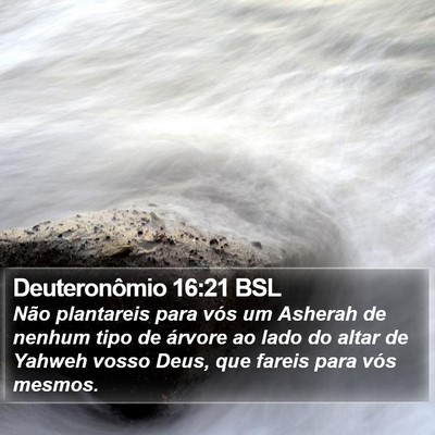 Deuteronômio 16:21 BSL Bible Verse Image