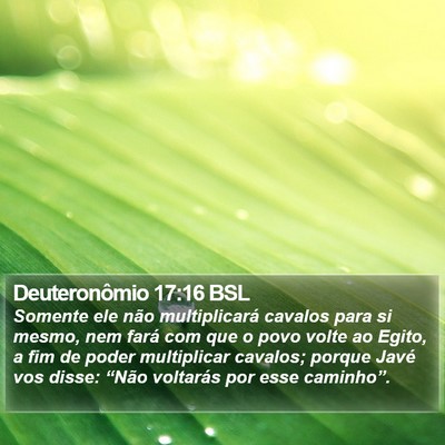 Deuteronômio 17:16 BSL Bible Verse Image