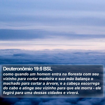 Deuteronômio 19:5 BSL Bible Verse Image