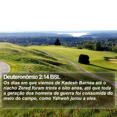 Deuteronômio 2:14 BSL Bible Verse Image