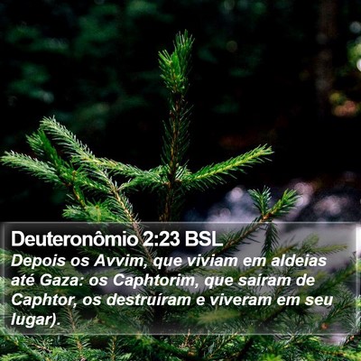 Deuteronômio 2:23 BSL Bible Verse Image