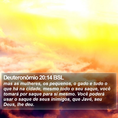 Deuteronômio 20:14 BSL Bible Verse Image