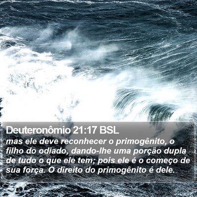 Deuteronômio 21:17 BSL Bible Verse Image