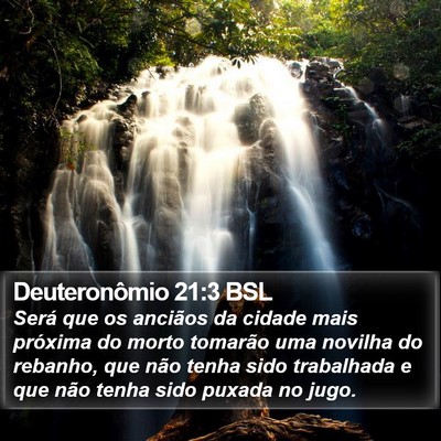 Deuteronômio 21:3 BSL Bible Verse Image