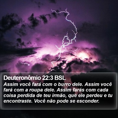 Deuteronômio 22:3 BSL Bible Verse Image