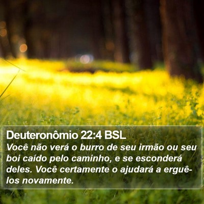 Deuteronômio 22:4 BSL Bible Verse Image