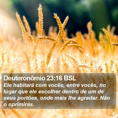 Deuteronômio 23:16 BSL Bible Verse Image