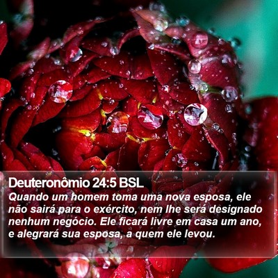 Deuteronômio 24:5 BSL Bible Verse Image