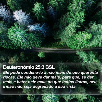 Deuteronômio 25:3 BSL Bible Verse Image
